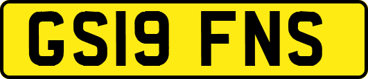 GS19FNS