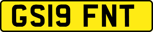 GS19FNT