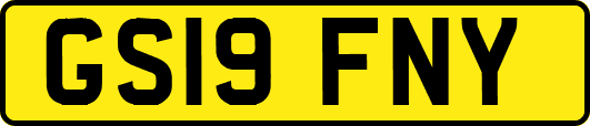GS19FNY