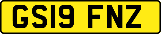GS19FNZ