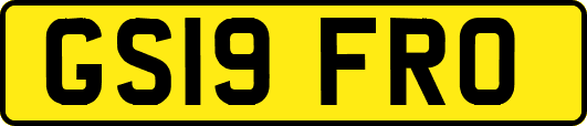 GS19FRO
