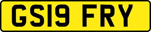 GS19FRY