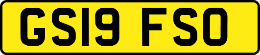 GS19FSO
