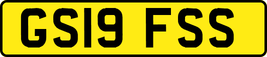GS19FSS