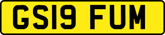 GS19FUM