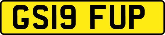 GS19FUP