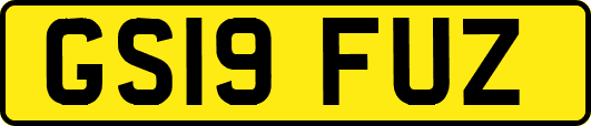 GS19FUZ