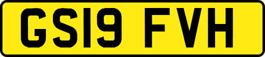 GS19FVH