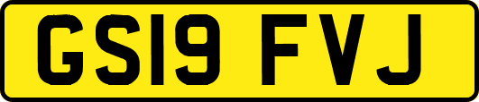 GS19FVJ
