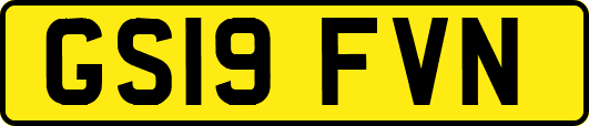GS19FVN