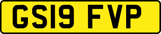 GS19FVP