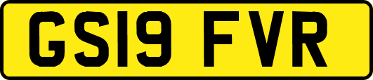 GS19FVR