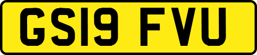 GS19FVU