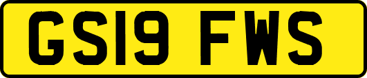 GS19FWS
