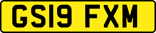 GS19FXM