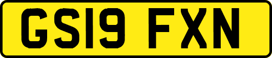GS19FXN