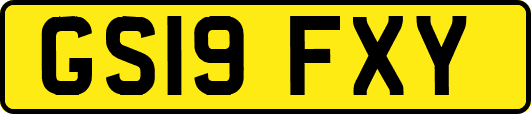 GS19FXY