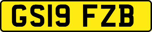 GS19FZB