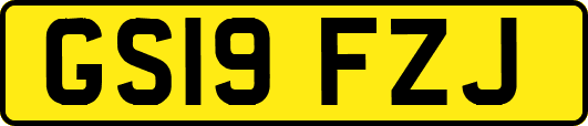GS19FZJ