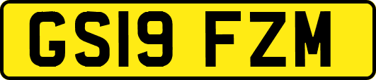 GS19FZM