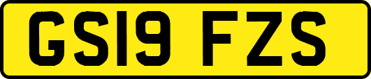 GS19FZS