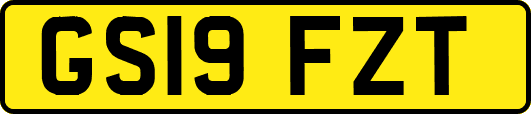 GS19FZT