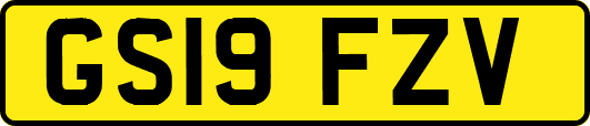 GS19FZV