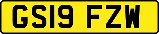 GS19FZW