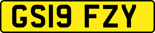 GS19FZY