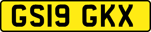 GS19GKX