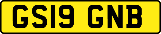 GS19GNB