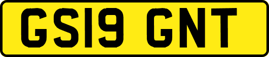 GS19GNT