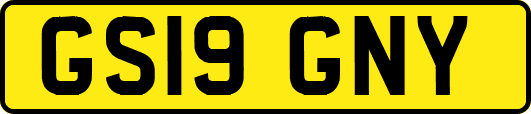 GS19GNY