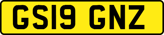 GS19GNZ