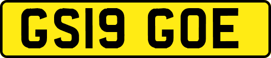 GS19GOE