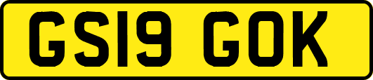 GS19GOK