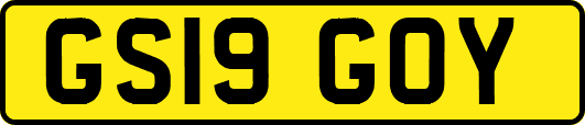 GS19GOY
