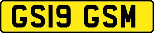 GS19GSM