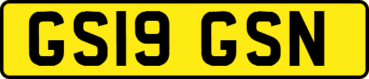 GS19GSN