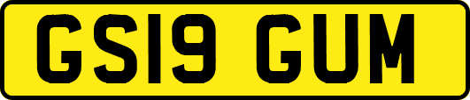GS19GUM