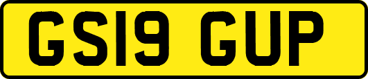 GS19GUP