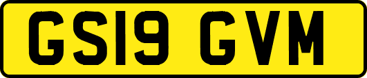 GS19GVM
