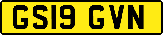 GS19GVN