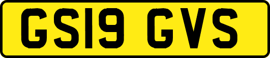 GS19GVS