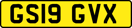 GS19GVX