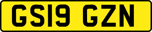 GS19GZN