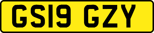 GS19GZY