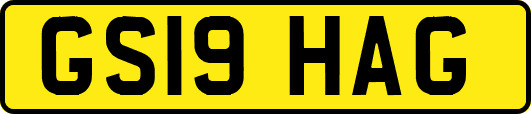 GS19HAG