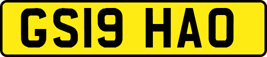 GS19HAO