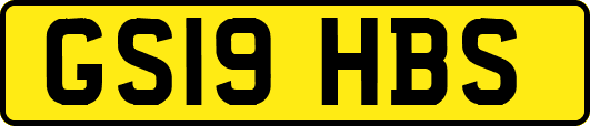 GS19HBS